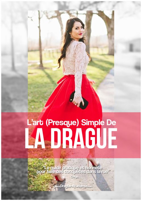 l'art presque simple de la drague l'art (presque) simple de la drague